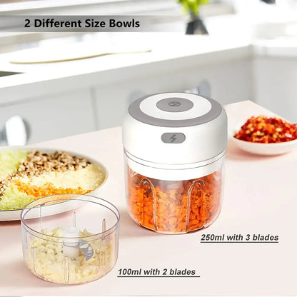300ML Electric Garlic Chopper USB Charging Food Vegetable Meat Crusher Stainless Steel Mini Chili Garlic Masher Kitchen Gadgets