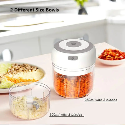 300ML Electric Garlic Chopper USB Charging Food Vegetable Meat Crusher Stainless Steel Mini Chili Garlic Masher Kitchen Gadgets